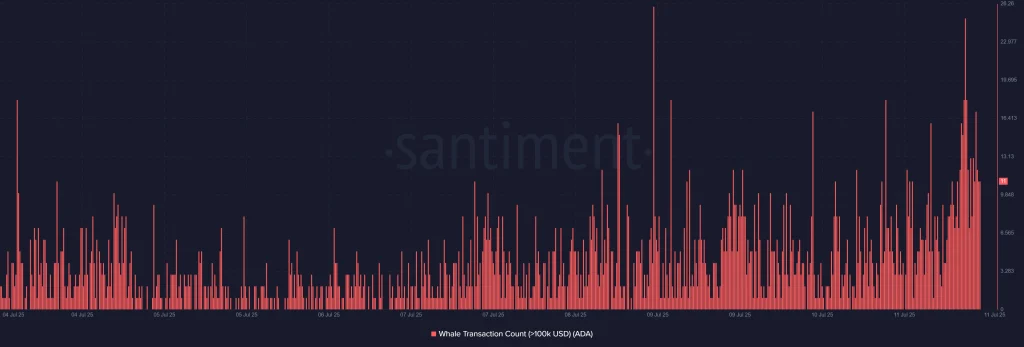 Cardano Onchain Today