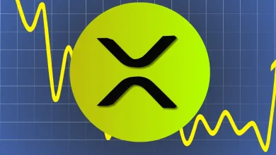 Why is XRP Price Up Today?