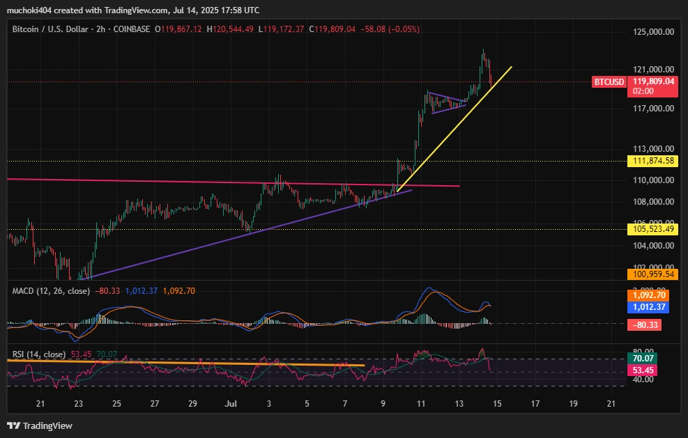 BTC Price 2-hour update