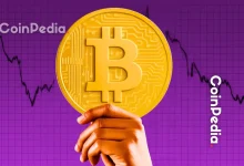 Long-Term Bitcoin Holders Sell as Market Rally Continues