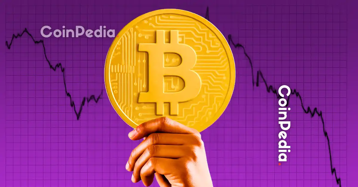 Why Is Bitcoin Price Down Today? Whale Dump and Liquidations Rock Crypto Market