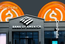 Bank of America Reveals 4 Winners of the 2025 Stablecoin Boom