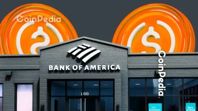 Bank of America Reveals 4 Winners of the 2025 Stablecoin Boom