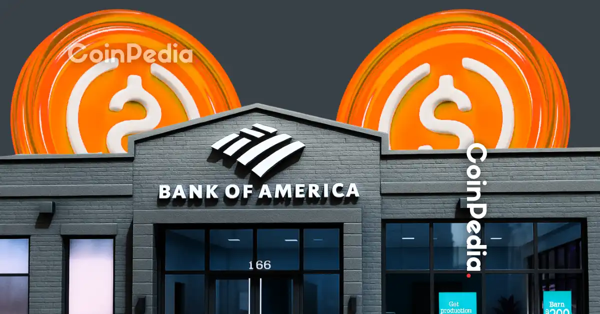Bank of America Reveals 4 Winners of the 2025 Stablecoin Boom