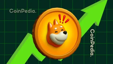 Why BONK Price is Up Today?