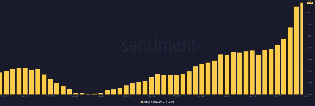 Cardano onchain