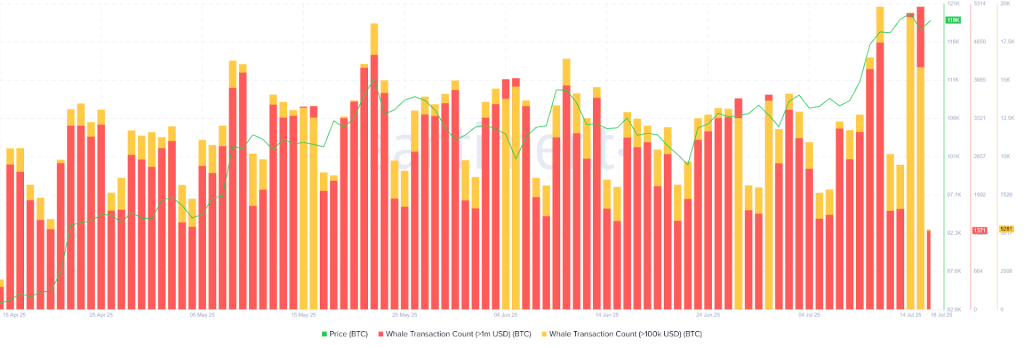 Bitcoin On Chain Data