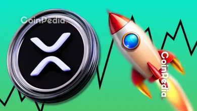 XRP Price at the Cusp of a Major Run Is $2.62 to $2.7 the Sweet Spot Before a Run to $5
