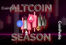 Altcoin Rally