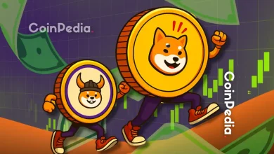 Can FLOKI and BONK Memecoin Price Rally Sustain?
