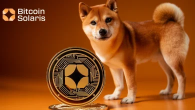 doge-bitcoin-solaris