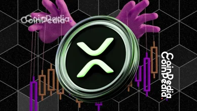 Will XRP Price Hit All-Time High in the Next 24 Hours