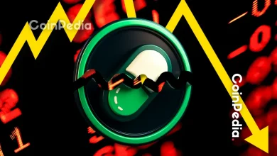 Pump.fun Token Crashes Below ICO Price After $600M Hype Bust