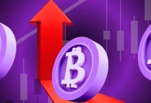 Bitdeer Increases Bitcoin Holdings, Now Holds 1,675.9 BTC