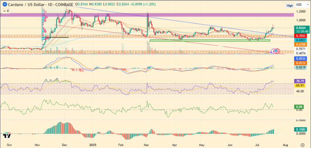 Will ADA Price Surge 40%, as Whale Activity Surges?
