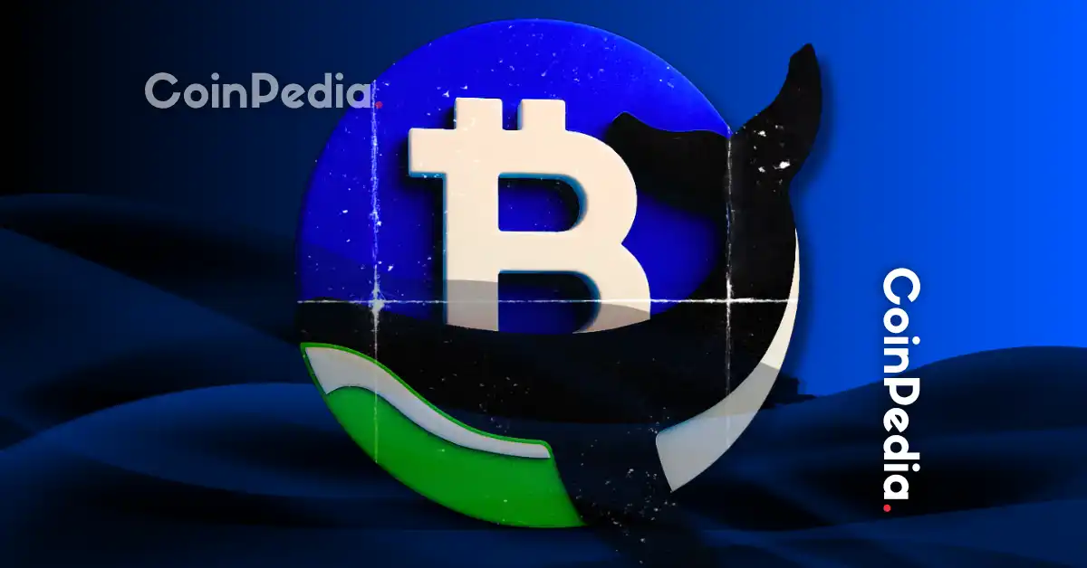 Smart Bitcoin Whale Makes Over $90 Million Profit in Nine Months