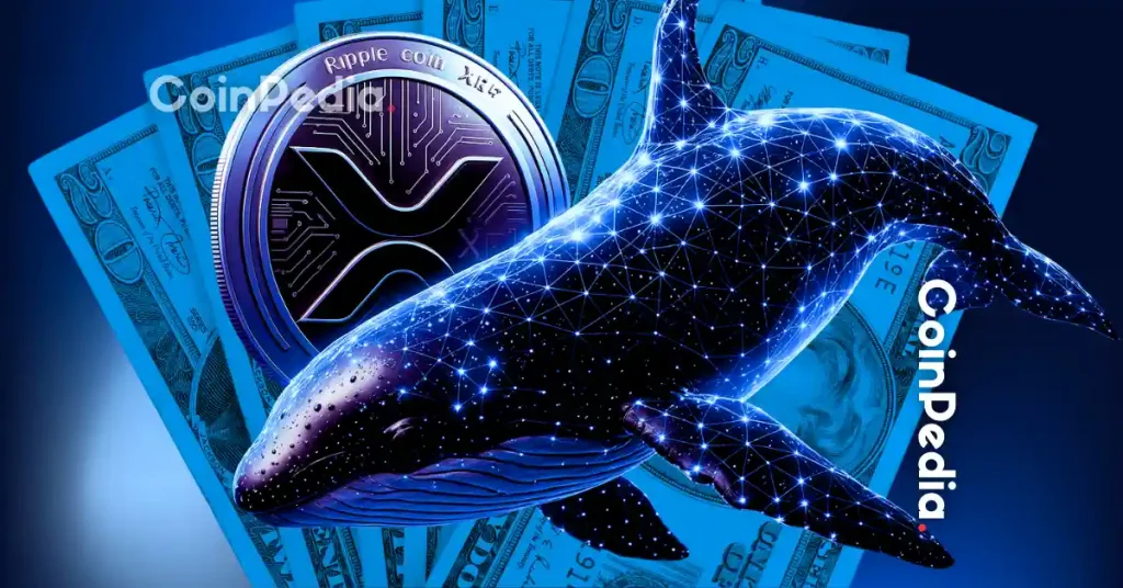 XRP Whales Open $25 Million in Longs Ahead of White House Crypto Policy Report
