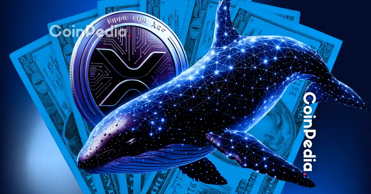 XRP Whales On the Move: $700M Whale Transfers Spark Buzz