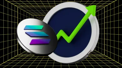 Solana Could Skyrocket To $500 This Bull Run Analyst