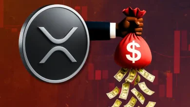 Why XRP Price is Down Today