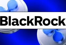 blackrock ripple