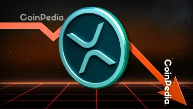 Will XRP Price Drop Below $3 Today?
