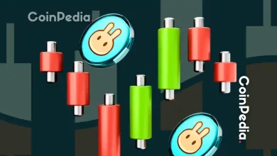 PancakeSwap Price Jumps 13%, as BNB Hits New ATH