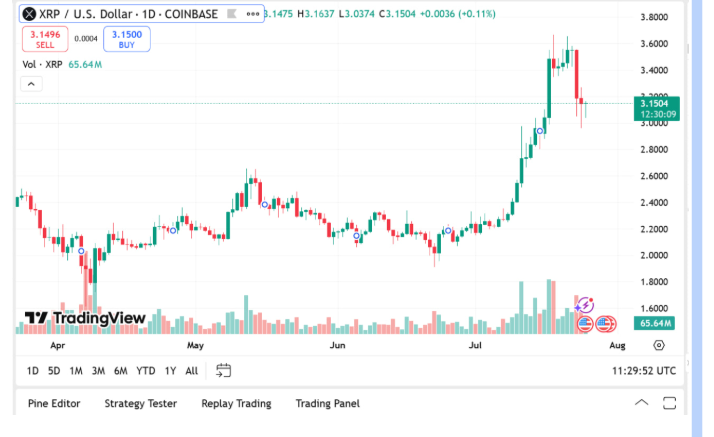 XRP investors 