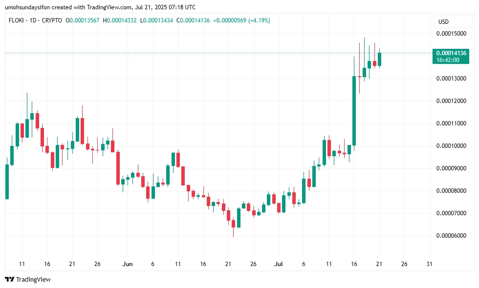 FLOKI/USD 1D Price Chart|Source: TradingView