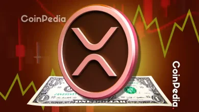 ‘Hundreds of Millions of Dollars Have Come In’ Sal Gilbertie Says XRP Is Teucrium’s Top Performer