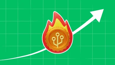 Token Burn