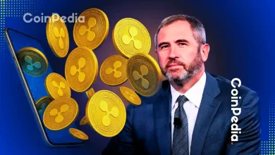 What Makes Ripple One of the World’s Biggest Private Companies in 2025