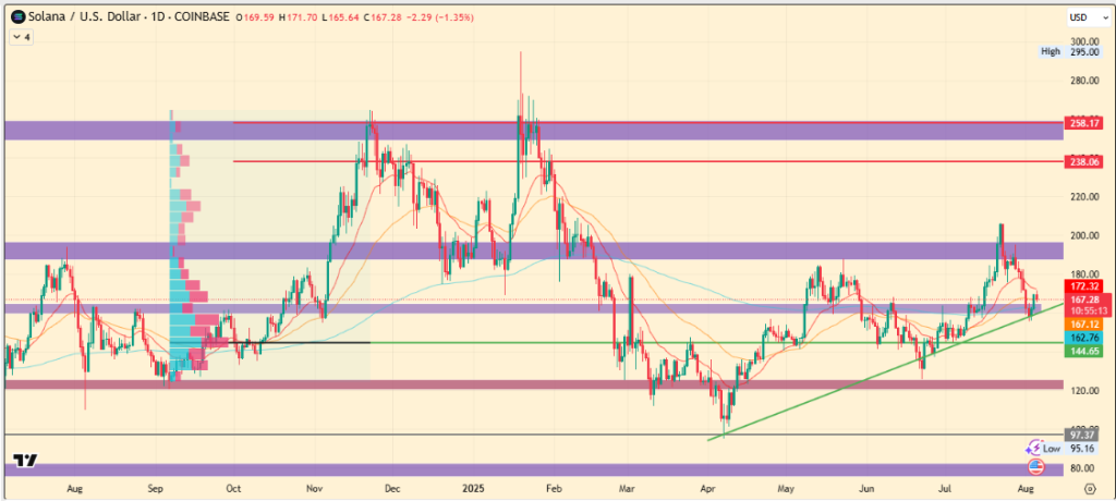 Solana Price Steadies Near $167: Is It The Perfect Buying Opportunity?