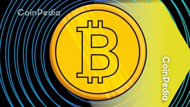 Bitcoin Price Builds Support on Dips, Can $116k Break Unlock the Next Rally