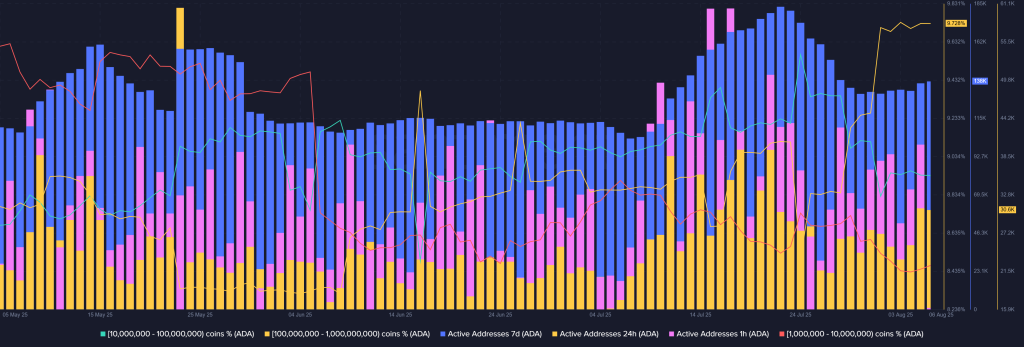 Whales Bought The Dip: Is Cardano Price Set For $1.00 In August?