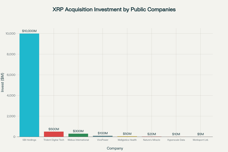 A Consumer Investment In The Xpp