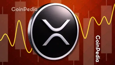 Digital Wealth Partners Raises $200M in XRP to Boost Investment Funds