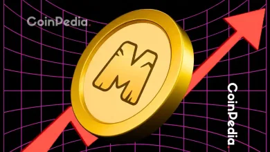 MemeFi Token Explodes 300% in 24 Hours! What’s Behind the Sudden Surge?