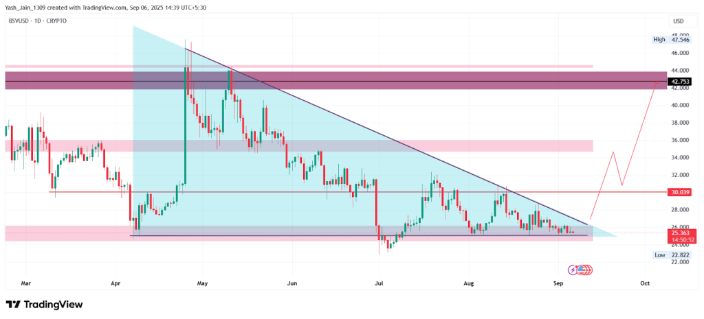 Bitcoin SV Price Overview