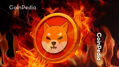 New SHIB Burn Mechanism Announced Through Gaming Push