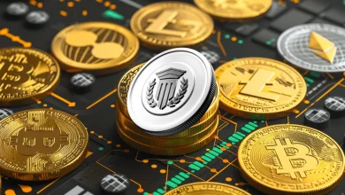 mutuum-finance