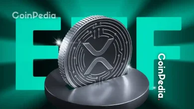 “XRP ETF Poised to Outshine Ethereum ETF”, Says Canary Capital CEO