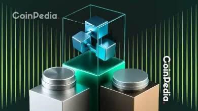 a16z & DeFi Education Fund Propose “Safe Harbor” for Blockchain Apps