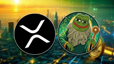 xrp-pepeto