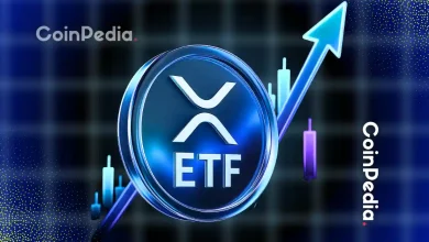 Full List of XRP Spot ETFs Filings, Deadlines, and What’s Next