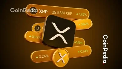 Raoul Pal Says XRP Could Put Investors in the Top 1% by 2030