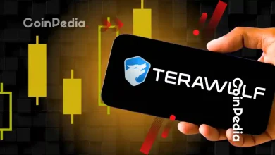 TeraWulf Stock Soars 70% as Google Doubles Its Stake