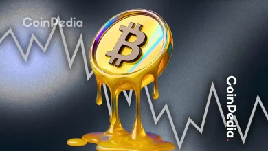 Massive Crypto Liquidations Hit as Fed Rate Cut Bets Fade