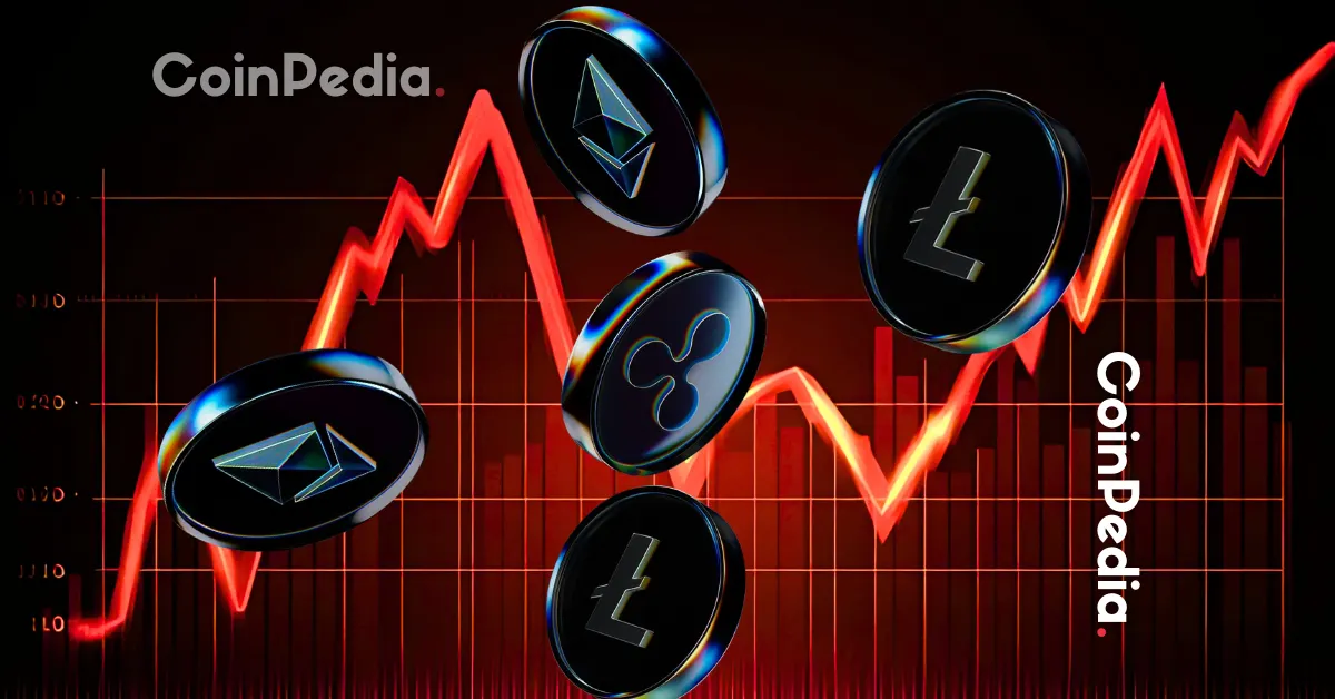 Crypto Market Attempts Bullish Rebound: Dead-cat Bounce or Full-Blown Recovery?