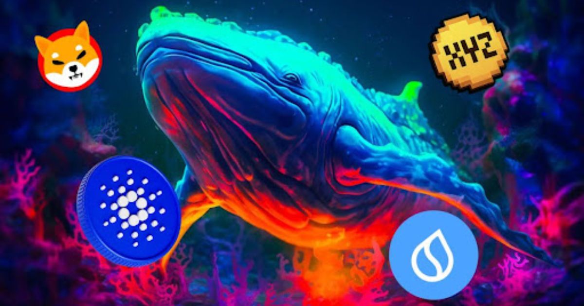 XYZVerse